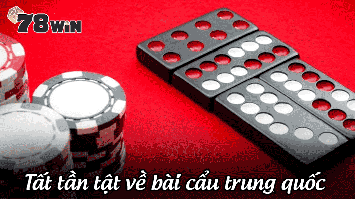 Bài cẩu là gì? Tất tần tật về bài cẩu bạn có thể chưa biết