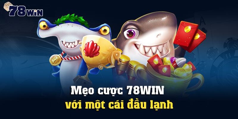 Mẹo cược 78WIN với một cái đầu lạnh